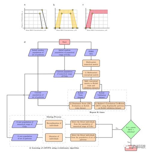 發(fā)展認(rèn)知神經(jīng)科學(xué)視域下基于可解釋人工智能模型的嬰兒fNIRS數(shù)據(jù)分析與基礎(chǔ)軟件開發(fā)